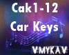 AYLA CAR KEYS