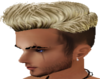 Men's Frosted Blond Hair