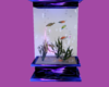 Calestrial Fish Tank
