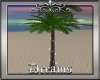 *Tropics* Palm Tree