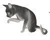 Animated Grey Cat