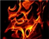 Kalis Fire Dragon