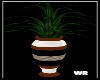 [WR]Coffee/Bar:Plant 3