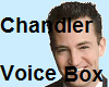 Chandler Bing Voice Box