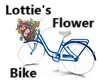 Lottie's Flower Bike