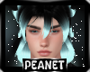 Fiero | Hair