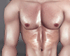 金 Zayn T3 - Skin