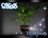 (H) SNO3 Potted Plant
