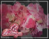 Hydrangea Pink B
