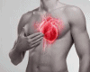 Realistic heart/coraçã