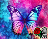 蝶 Butterfly Background