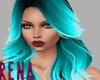 Beach Life Bundle