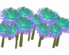 Sea Flowers Anim 1