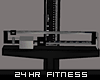 24 HR Fitness Scale