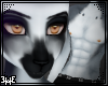 Lemur | Striped goth fur