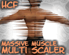HCF All In One Scaler 10
