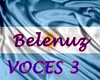 Voces Argentina 3