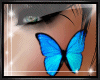 [SIN]~ Face Butterfly
