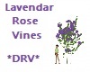 DRV* Lavendar Rose Vines