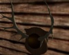 *RD* Cabin Antlers