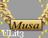 "U" Custom Musa