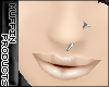 [m] Nose Nail Metl