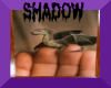 Shadow's Dragon 6