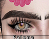 [🌹] Kahlo Eyebrows