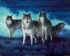 Wolf Den Family Table