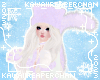 Winter Kitty Lilac