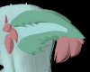 Nova Ears/SP