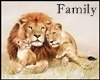 ".Lion Poster."Family l