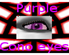 Purp. cono eyes M (CAT)