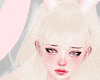 🍒 Bunny Ears