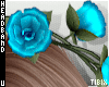 Blue Rose Vine