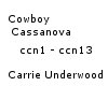 Cowboy Cassanova