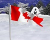 Canada Flag Animated
