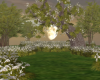 Spring floral garden