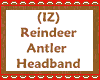 (IZ) Reindeer Antlers