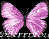 Butterflies pink