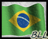 BLL Brazil Flag