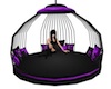 *Luna* purple swing seat