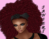 JNSR-ViU CURLY RED