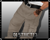 D13l Cargo Pants