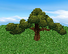 Huge Fairy Tree