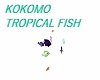 KOKOMO TROPICAL FISH