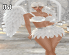 [Ts]Angel Costume Full