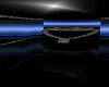 ~ Blue & Silver Club ~