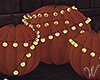 Fall Festival Pumpkins