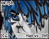[CG] Morph Hair v1 [M]